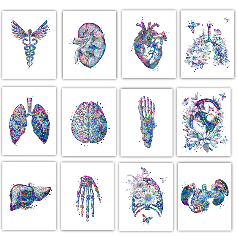 Medical Lab Pictures - Anatomy Medical Poster Flower Organ Wall