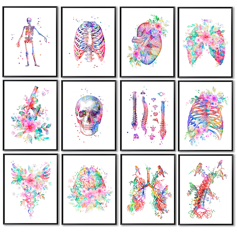 Anatomy Medical Poster Flower  - Medical Lab Pictures 评论和价格